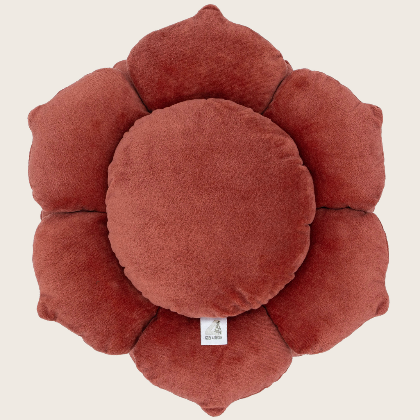 Terracotta Succulent Pillow