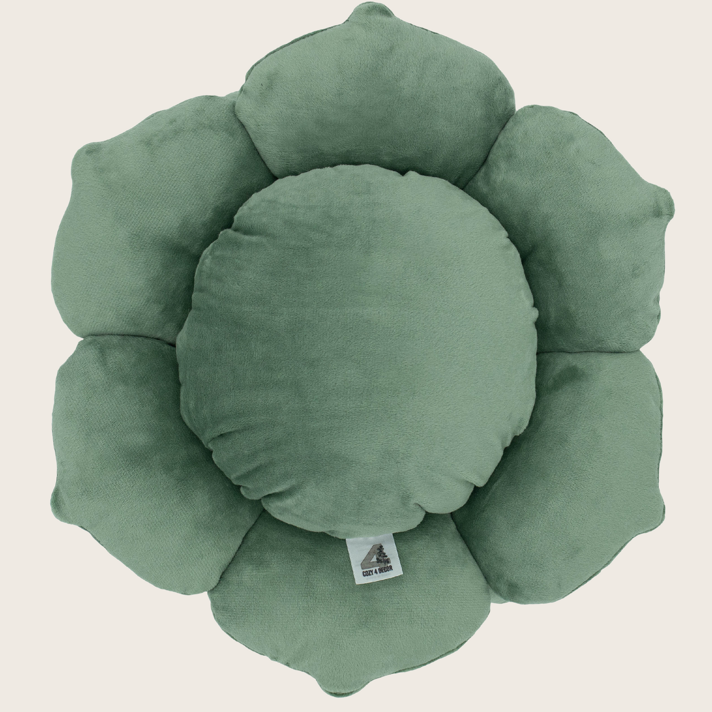 Green Succulent Pillow